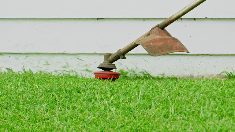 Artificial Turf Installation in Jericho, NY